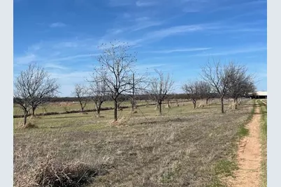 9776 County Road 258, Clyde, TX 79510 - Photo 21