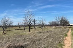 9776 Co Rd 258, Clyde, TX 79510 - Photo 21