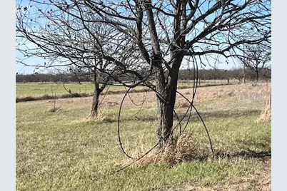 9776 County Road 258, Clyde, TX 79510 - Photo 23