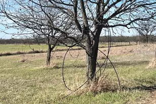 9776 Co Rd 258, Clyde, TX 79510 - Photo 23
