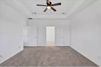 528 Birch Valley Court, Frisco, TX 75036 - Photo 29