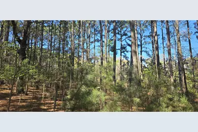 8300 Trophy Point, LaRue, TX 75770 - Photo 7