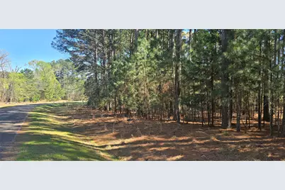 8300 Trophy Point, LaRue, TX 75770 - Photo 5