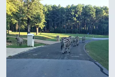 8300 Trophy Point, LaRue, TX 75770 - Photo 15