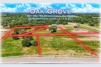 704 Slabs Way, Springtown, TX 76082 - Photo 7