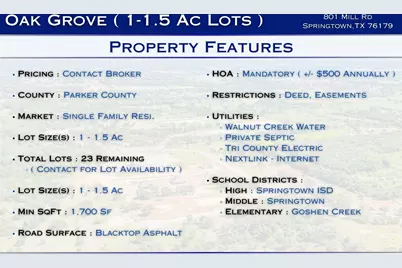 184 Oak Grove Way, Springtown, TX 76082 - Photo 3