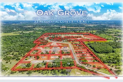 184 Oak Grove Way, Springtown, TX 76082 - Photo 1