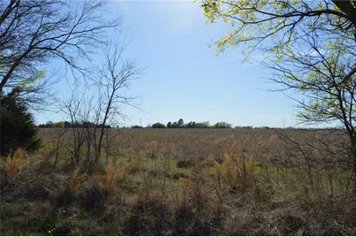 Tbd Lot 3 Rs County Road 1520, Point, TX 75472 - Photo 3