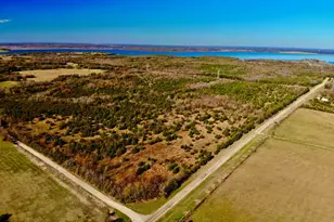 Tract 9 Farm To Market 1743, Honey Grove, TX 75446 - Photo 1