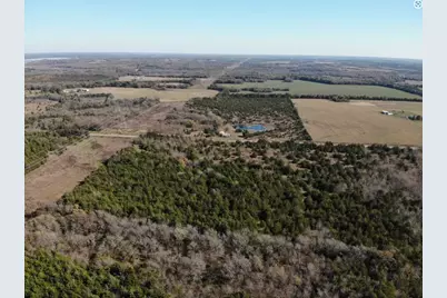 Tract 9 Farm To Market 1743, Honey Grove, TX 75446 - Photo 9