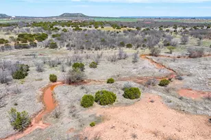 296 Mesquite Rdg Ln, Lawn, TX 79530 - Photo 33