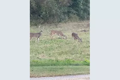 000 Fm 2909, Canton, TX 75103 - Photo 15