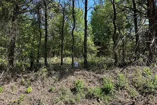 Tract 13 County Road 2951, Honey Grove, TX 75446 - Photo 1