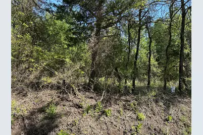 Tract 13 County Road 2951, Honey Grove, TX 75446 - Photo 3