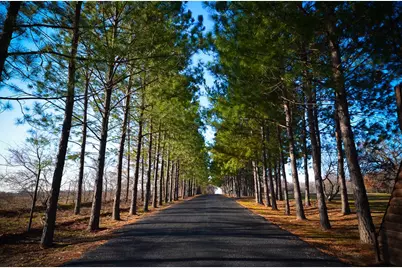 56 Shiloh Road, Streetman, TX 75859 - Photo 31