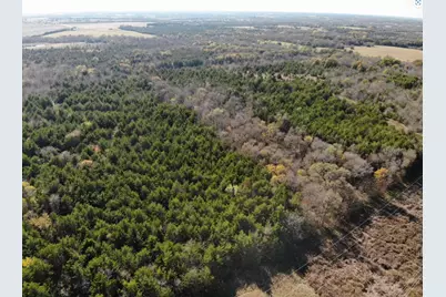 Tract 14 County Road 2951, Honey Grove, TX 75446 - Photo 13