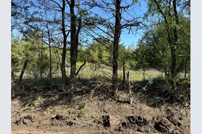 Tract 14 County Road 2951, Honey Grove, TX 75446 - Photo 3