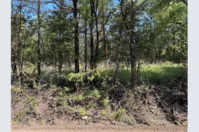 Tract 14 County Road 2951, Honey Grove, TX 75446 - Photo 1