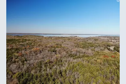 Tract 14 County Road 2951, Honey Grove, TX 75446 - Photo 11