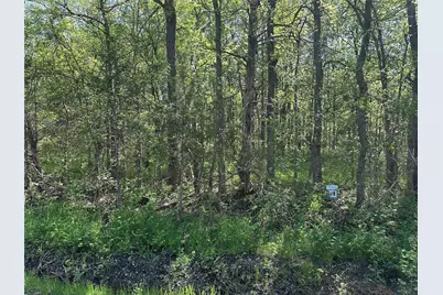 Tract 16 County Road 2960, Honey Grove, TX 75446 - Photo 3