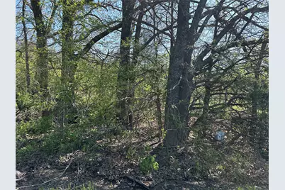 Tract 17 County Road 2960, Honey Grove, TX 75446 - Photo 25