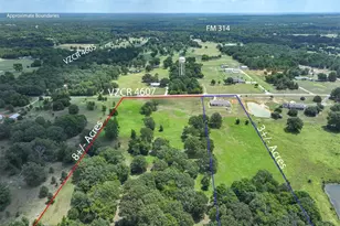 1461 Vz County Road 4607, Ben Wheeler, TX 75754 - Photo 39
