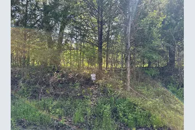 Tract 18 County Road 2960, Honey Grove, TX 75446 - Photo 1