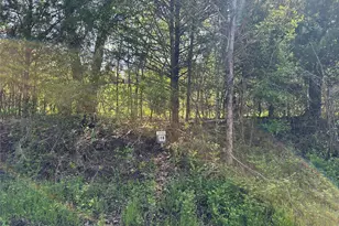 Tract 18 County Road 2960, Honey Grove, TX 75446 - Photo 1