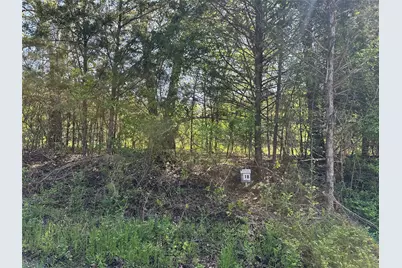 Tract 18 County Road 2960, Honey Grove, TX 75446 - Photo 3