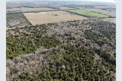 Tract 18 County Road 2960, Honey Grove, TX 75446 - Photo 19