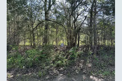 Tract 19 County Road 2960, Honey Grove, TX 75446 - Photo 21