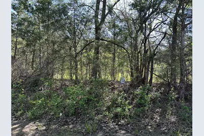 Tract 19 County Road 2960, Honey Grove, TX 75446 - Photo 23