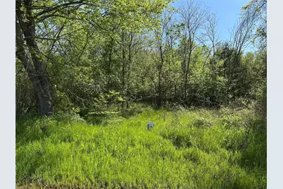 Tract 20 County Road 2960, Honey Grove, TX 75446 - Photo 3