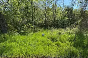 Tract 20 County Road 2960, Honey Grove, TX 75446 - Photo 1