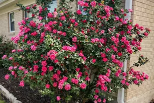 3808 Granada Dr, Richland Hills, TX 76118 - Photo 17