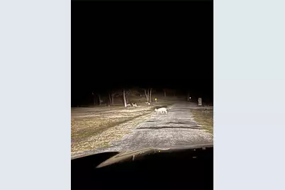 222 Rs County Road 4269, Emory, TX 75440 - Photo 37