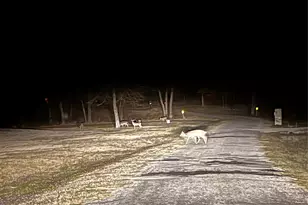 222 Rs County Rd 4269, Emory, TX 75440 - Photo 37