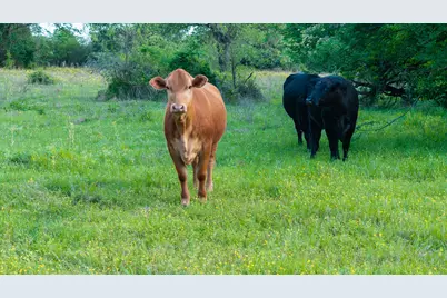 951 SE Loop 7, Athens, TX 75751 - Photo 27