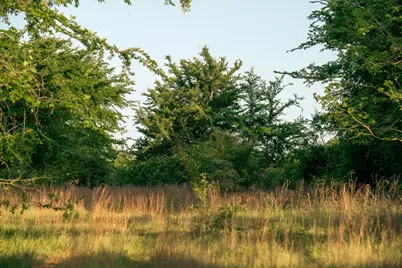 951 SE Loop 7, Athens, TX 75751 - Photo 33