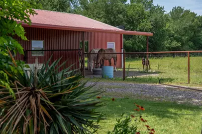 8665 Cr-669, Blue Ridge, TX 75424 - Photo 25