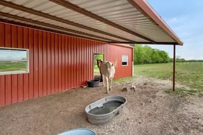 8665 Cr-669, Blue Ridge, TX 75424 - Photo 33