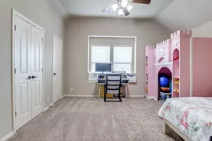 804 Longhorn Drive, Aubrey, TX 76227 - Photo 17