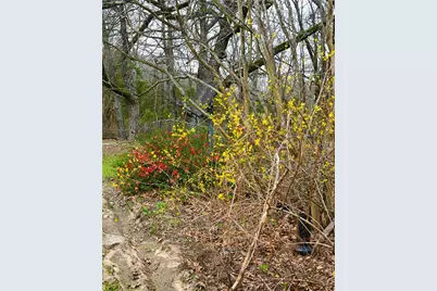 2211 Fm 2029, Telephone, TX 75488 - Photo 5