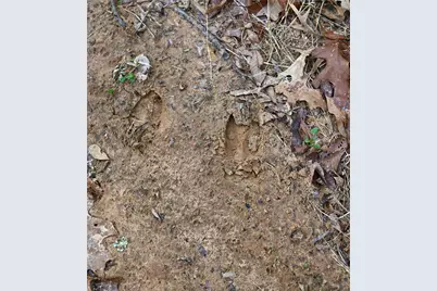 2211 Fm 2029, Telephone, TX 75488 - Photo 3