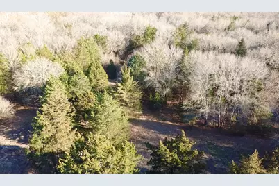 3842 Fm 2029, Telephone, TX 75488 - Photo 13