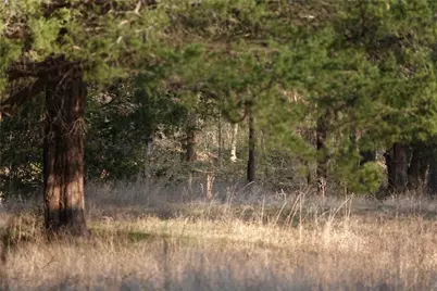 3842 Fm 2029, Telephone, TX 75488 - Photo 11