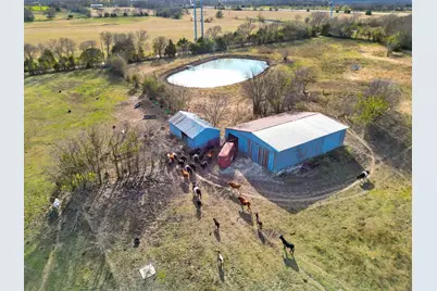 12099 County Road 1028, Blue Ridge, TX 75424 - Photo 13