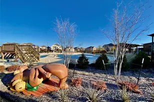 8116 Green Heron Dr, McKinney, TX 75071 - Photo 13