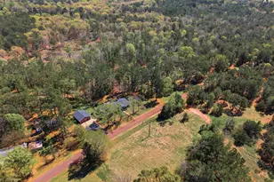 10763 S Cr 461, Laneville, TX 75667 - Photo 29