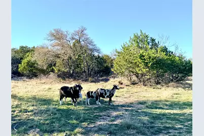 65 County Road 406, Goldthwaite, TX 76844 - Photo 3